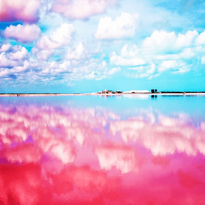 Las Coloradas & Rio Lagartos