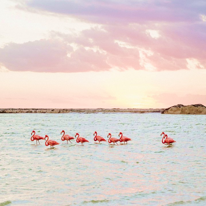 Las Coloradas & Rio Lagartos
